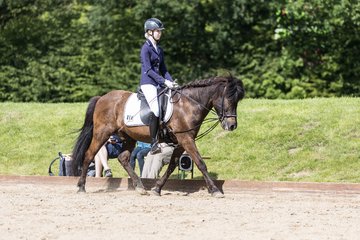 Bild 457 - Pony Akademie Turnier